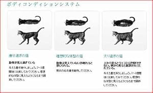 ピュリナ ワン キャット シニア猫用 チキン 11歳以上1kg