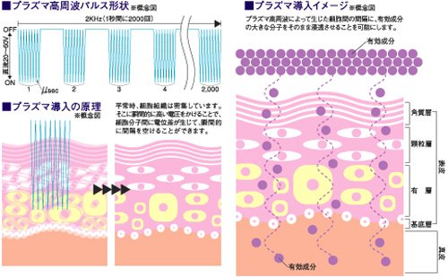 Futek プラズマハンディ 【プラズマ導入、EMS運動、LED照射】3way・リアルエステ ホワイト