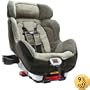 The First Years True Fit Convertible Car Seat, Rail Stripe