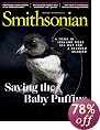 Great deals on Magazine Subscriptions