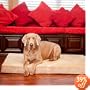 Extra Large 52" X 36" Orthopedic Memory Foam Dog Pet Bed - FREE SHIPPING