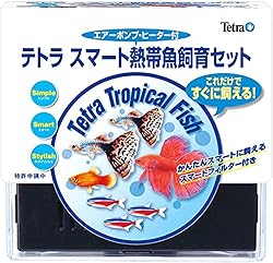 �͂��߂Ă̎���ɍœK�I