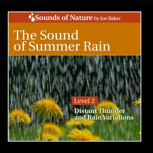 The Sound of Summer Rain