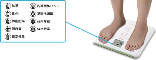 TANITA 【測定データをSDカードに自動記録 / パソコンへ転送可能 & グラフ表示も】 体組成計 インナースキャン グリーン BC-569-GR