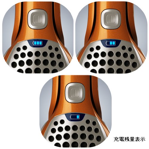Electrolux エルゴラピード・プラス 【サイクロン式 2way コードレスクリーナー】 コッパー・メタリック ZB2904X