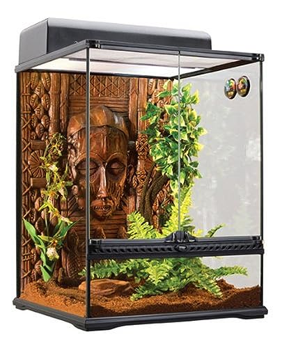 Exo Terra Cameroon Rainforest Habitat Kit