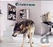 Grinderman 2 - Limited Deluxe CD