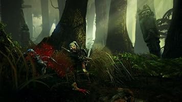 The Witcher 2