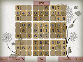 Absolute Sudoku, Abbildung #01