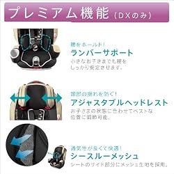 DXだけのプレミアム機能