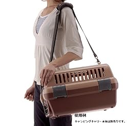 肩に掛けて、さらに移動ラクラク!<br>