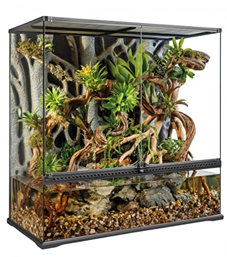 Exo Terra High Glass Terrarium