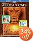 African Cats