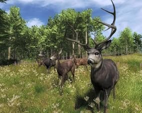 TheHunter 2012, Abbildung #06