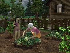 Die Sims 3: Hidden Springs