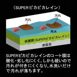 SUPER�s�J�s�J���C��