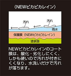 NEW�s�J�s�J���C��