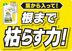 ���̂܂܎g����V�����[�^�C�v