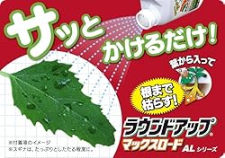 �t��������āA���܂Ō͂炷