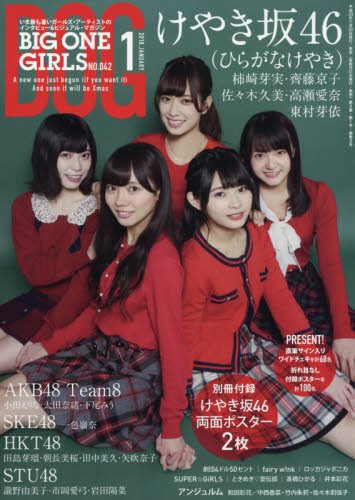 SCREEN特編版 ARTIST FILE BIG ONE GIRLS NO.042