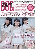 SCREEN特編版 ARTIST FILE BIG ONE GIRLS NO.047