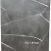 Vija Celmins: 10 May-22 June 2001