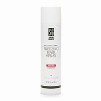 Salon Grafix Professional Freezing Hair Spray Mega Hold,10-Ounce