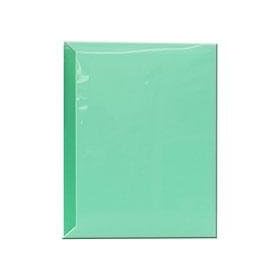 Pioneer Space Saver Pocket Bound Photo Album, Solid Color Covers with Clear Pocket, Holds 72 4x6 Photos, 2 Per Page. Color: Green.