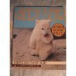 Andy Bear: A Polar Cub Grows Up at the Zoo by Ginny Johnston