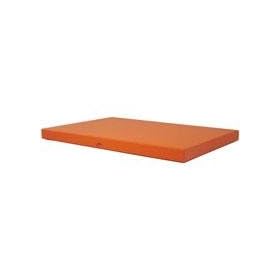 Cargo Premier Archival Storage Presentation Box 11x14 x 1, Color: Saffron.