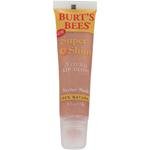 Burt's Bees Super Shiny Natural Lip Gloss .5 oz (14 g)