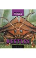 Beetles (Animals Animals)