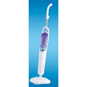 Clean Butler Dampfbesen billig