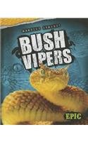 Bush Vipers by Davy Sweazey