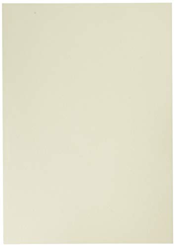 Algopix Similar Product 5 - Awagami Premio Inbe White Fine Art