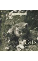 Cats (Perfect Pets)