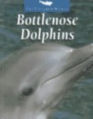 Bottlenose Dolphins (Untamed World)