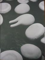 The Body by Renaissance Society at Tuc