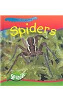 Spiders (Creepy Creatures) by Monica Hughes