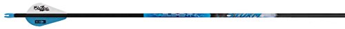 Algopix Similar Product 16 - Element Archery Storm Arrows 350 Spine