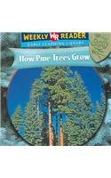 How Pine Trees Grow (How Plants Grow) by Joanne Mattern