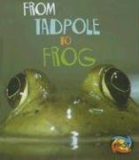 From Tadpole to Frog (How Living Things Grow) by Anita Ganeri