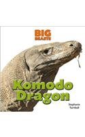 Komodo Dragon