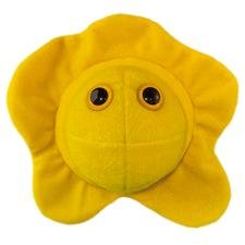 Herpes Stuffed Toy