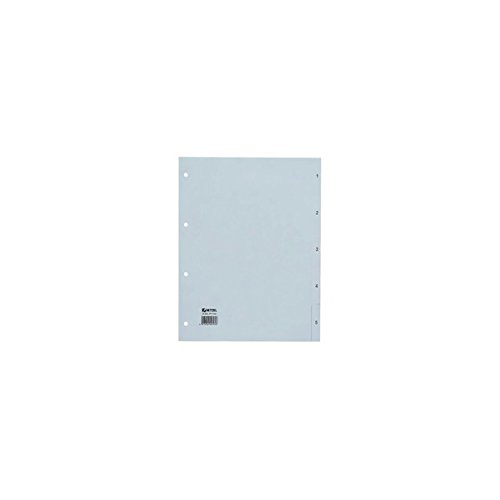 Algopix Similar Product 18 - Rexel Number Index Polypropylene Film