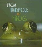 From Tadpole to Frog (How Living Things Grow)