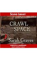 Crawlspace: A Home Repair Is Homicide Mystery: Library Edition