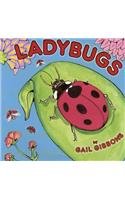 Ladybugs