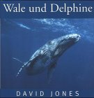 Wale und Delphine - David Jones