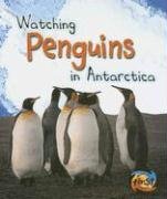 Watching Penguins in Antarctica (Wild World (Heinemann Hardcover))